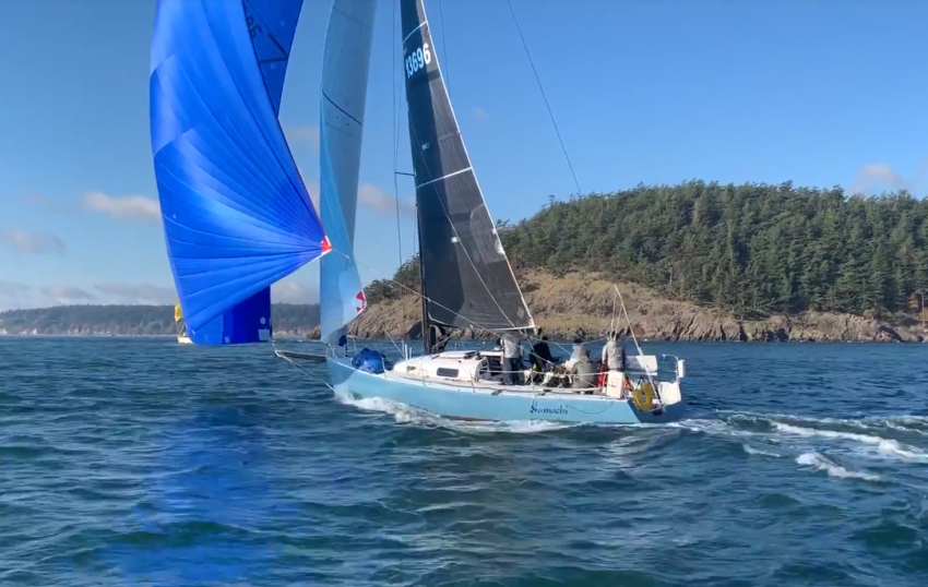 sailboat race to hawaii